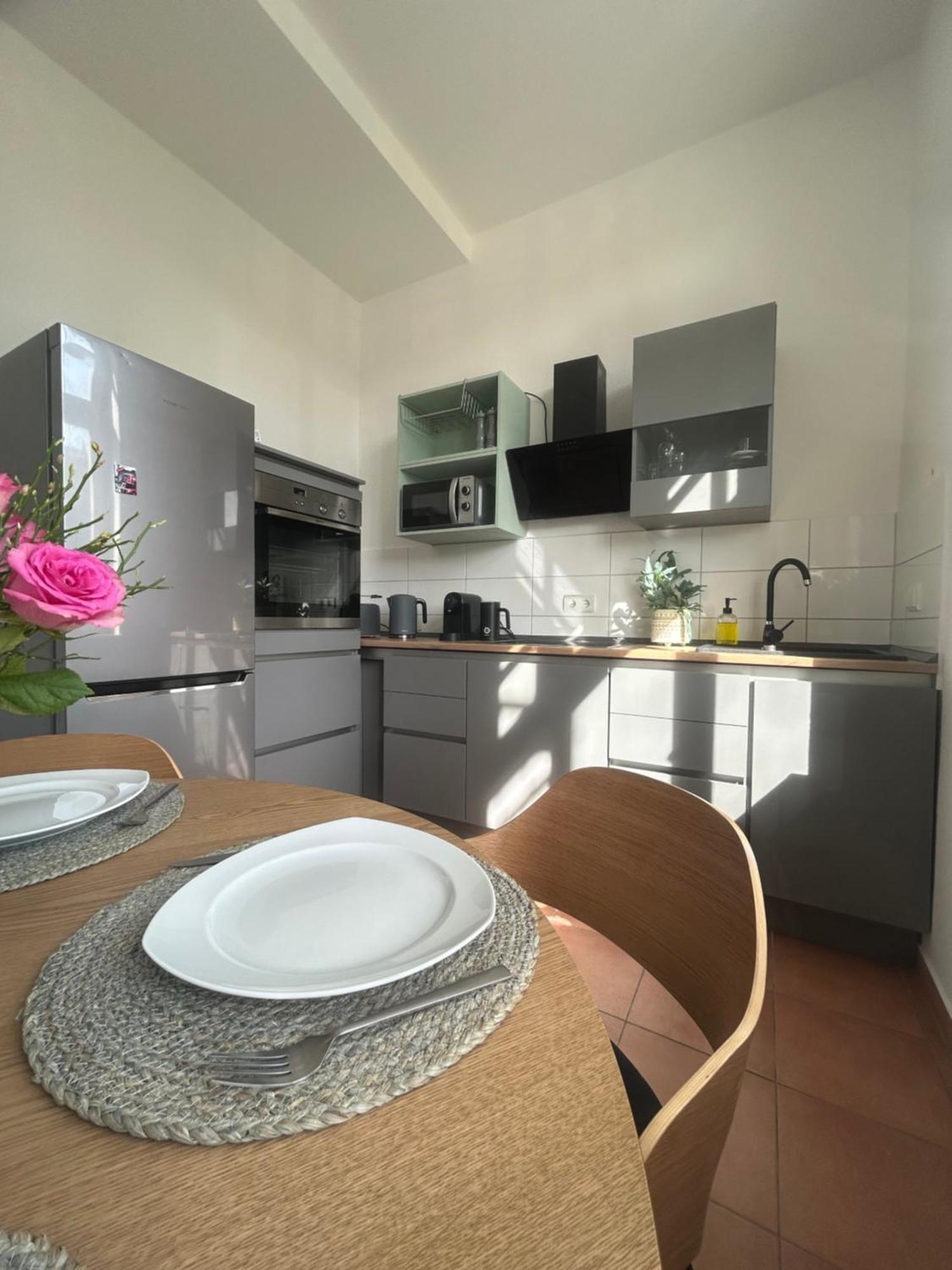 Mintara Komfort Apartment Mit Grill -Terrasse, Sky Und Parkplatz Магдебург Экстерьер фото